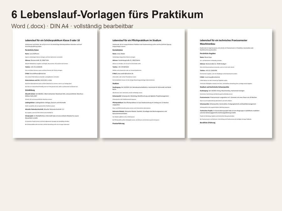 Lebenslauf Praktikum Vorlage — Vorschau 1