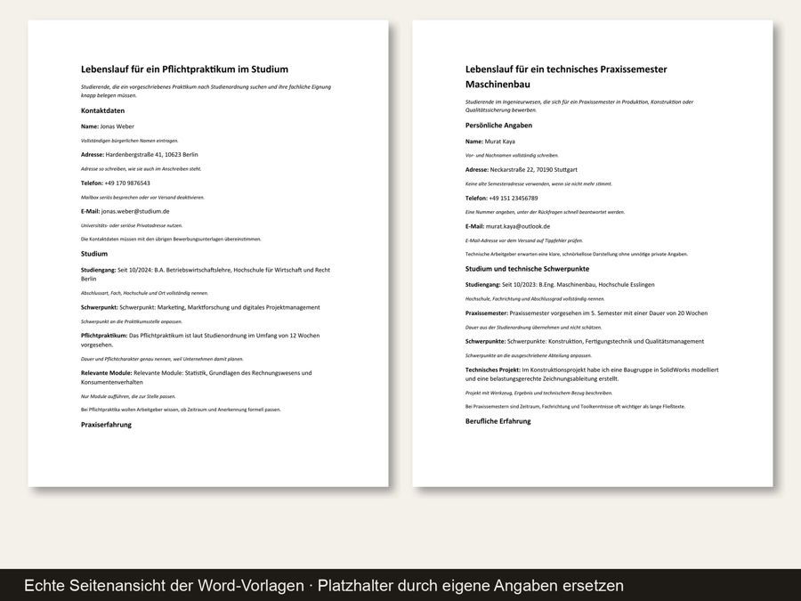 Lebenslauf Praktikum Vorlage — Vorschau 2